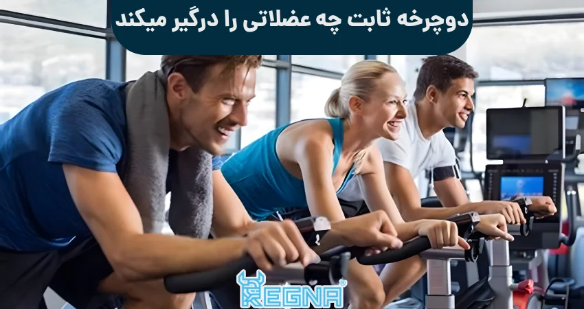 دوچرخه ثابت چه عضلاتی را درگیر میکند