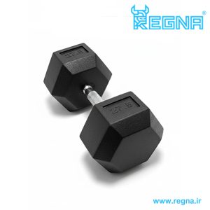 دمبل شش ضلعی 27.5 کیلوگرمی