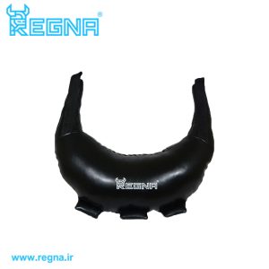 کیسه بلغاری 10 کیلوگرمی رگنا