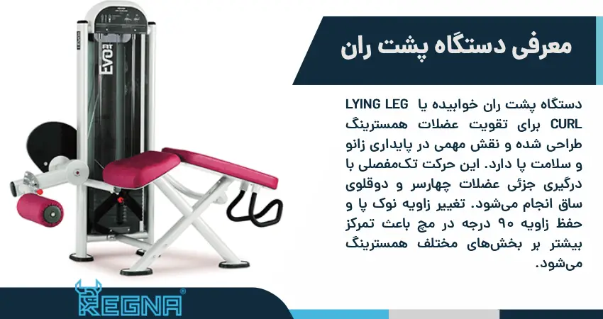 پشت ران دستگاه: معرفی و اهمیت