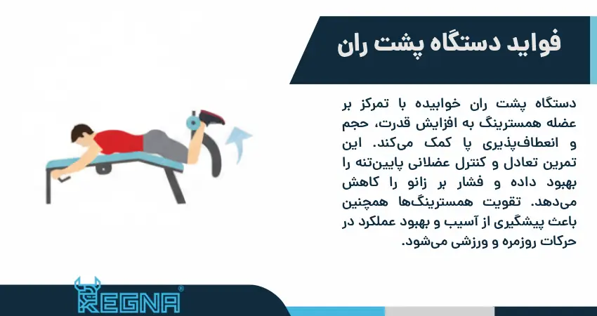 فواید دستگاه پشت ران خوابیده برای سلامت و قدرت پا