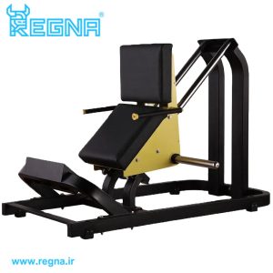 دستگاه هاگ پا تکنوجیم