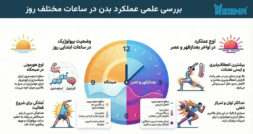 بررسی علمی عملکرد بدن در ساعات مختلف روز