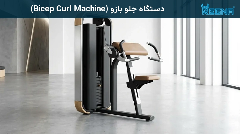 دستگاه جلو بازو (Bicep Curl Machine)