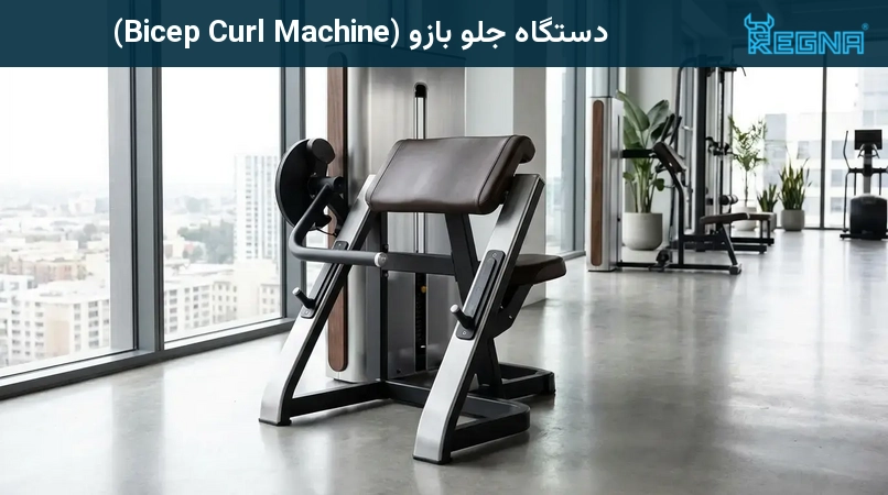 دستگاه جلو بازو (Bicep Curl Machine)