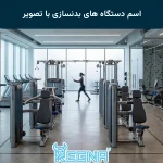 اسم دستگاه های بدنسازی با تصویر