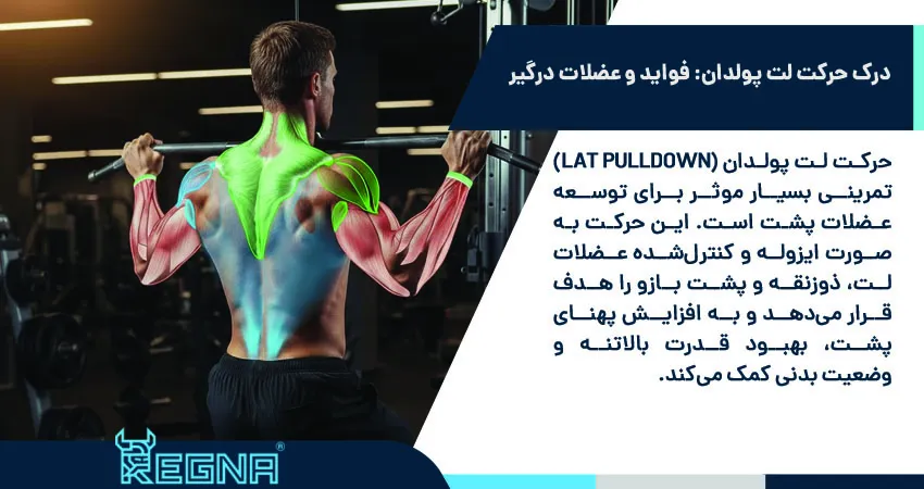 درک حرکت لت پولدان: فواید و عضلات درگیر