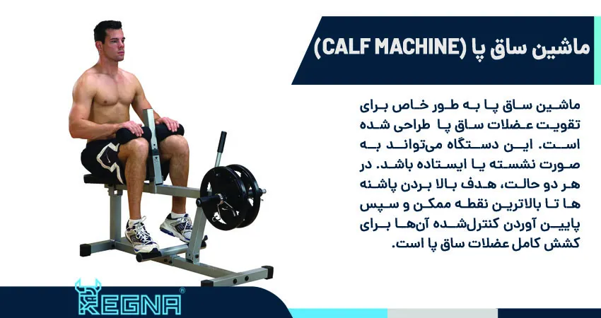 ماشین ساق پا (Calf Machine)