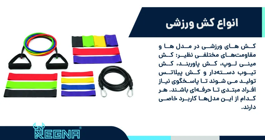 انواع کش ورزشی