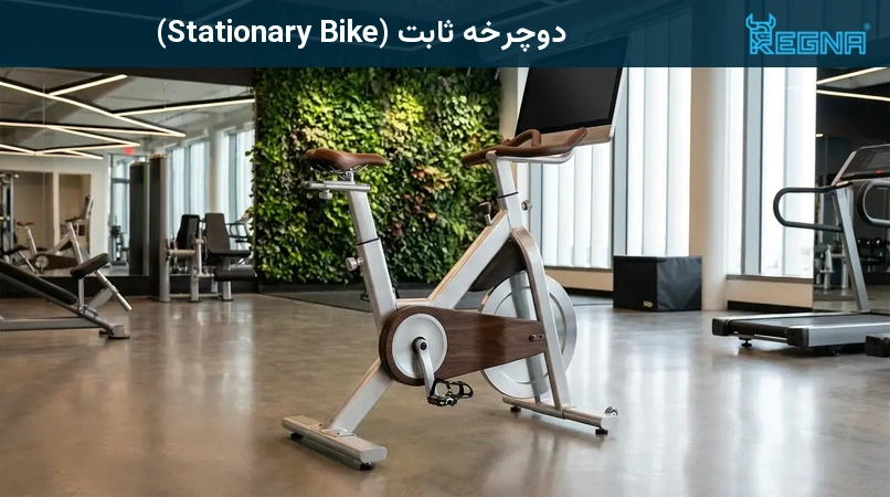 دوچرخه ثابت (Stationary Bike)