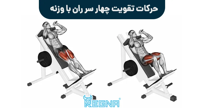 حرکات تقویت چهار سر ران با وزنه