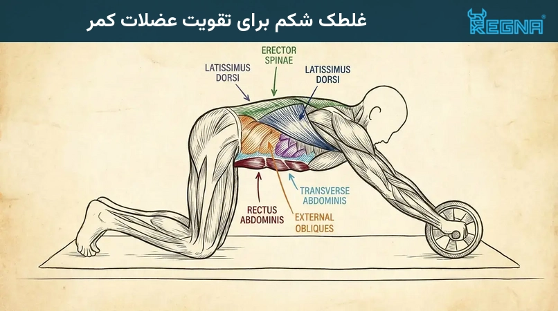 غلطک شکم برای تقویت عضلات کمر