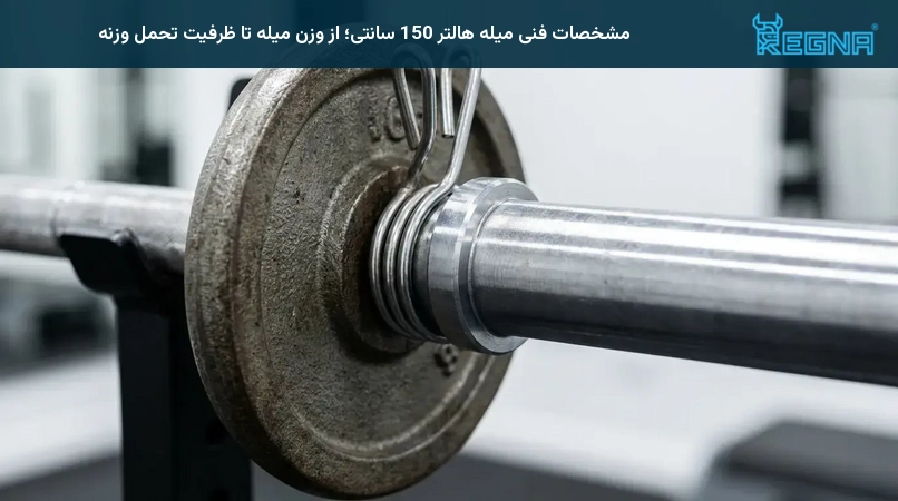 مشخصات فنی میله هالتر 150 سانتی؛ از وزن میله تا ظرفیت تحمل وزنه