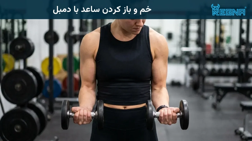خم و باز کردن ساعد با دمبل