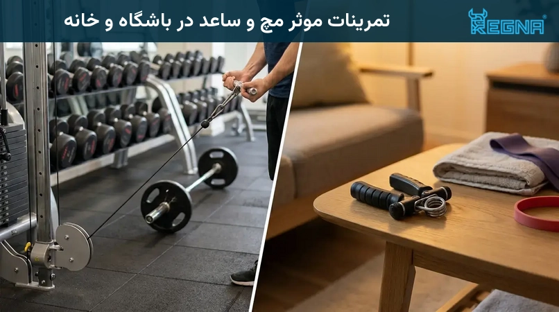 تمرینات موثر مچ و ساعد در باشگاه و خانه