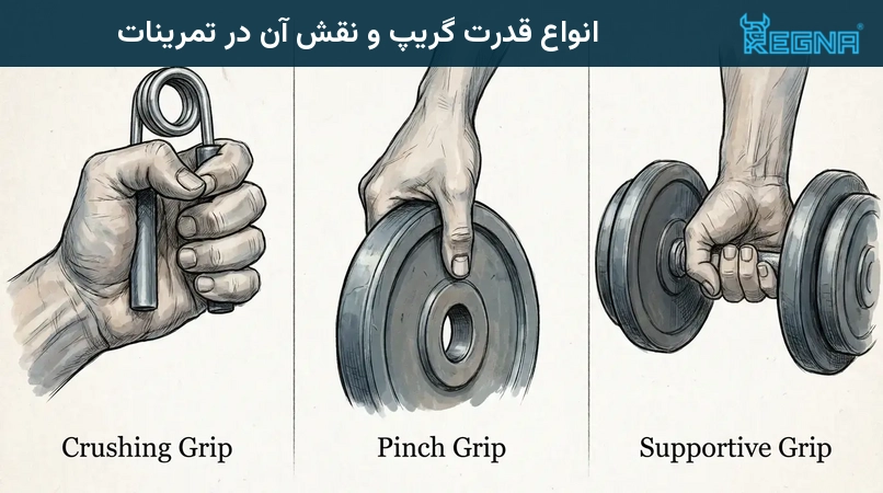 انواع قدرت گریپ و نقش آن در تمرینات