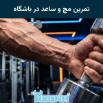 تمرین مچ و ساعد در باشگاه