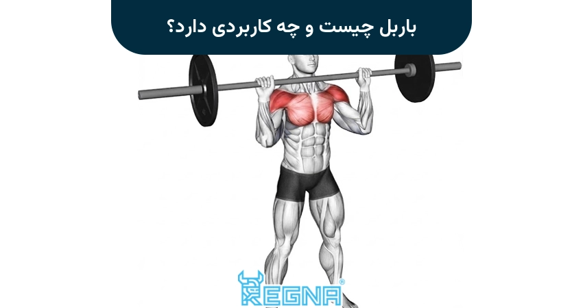 باربل چیست و چه کاربردی دارد؟