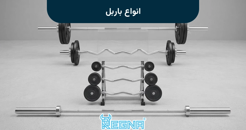 انواع باربل