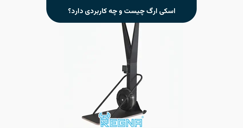 اسکی ارگ چیست و چه کاربردی دارد؟