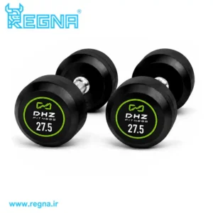 دمبل گرد DHZ وزن 27.5 کیلوگرم