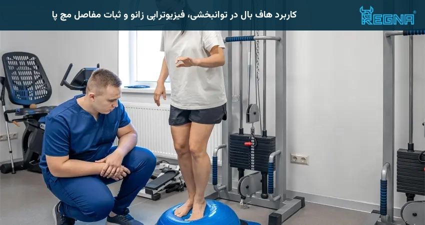 کاربرد هاف بال در توانبخشی، فیزیوتراپی زانو و ثبات مفاصل مچ پا