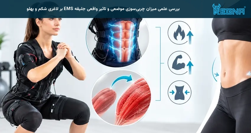 بررسی علمی میزان چربیسوزی موضعی و تاثیر واقعی جلیقه EMS بر لاغری شکم و پهلو